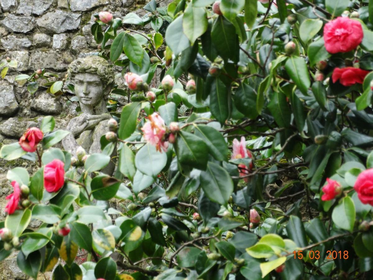 Hotel Particulier "Le Clos De La Croix" Bayeux Kültér fotó